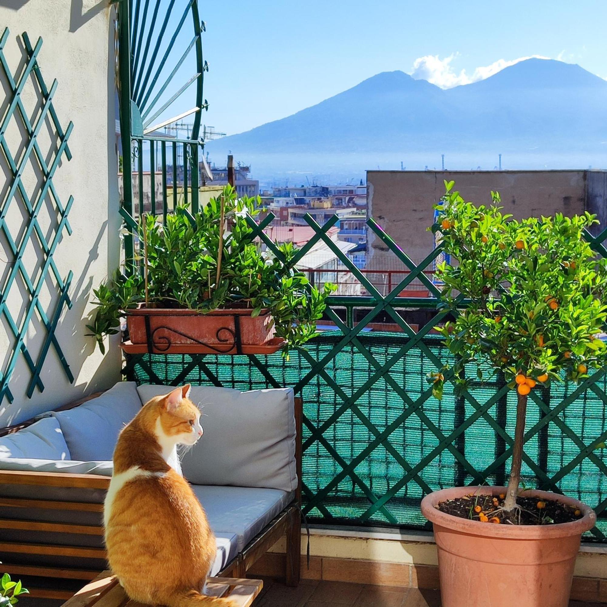 Bed and Breakfast La Casa Blu Neapel Exterior foto